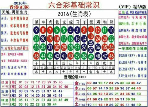 2024十二生肖49码表,揭秘2024十二生肖与数字彩票的奇妙结合——十二生肖49码表