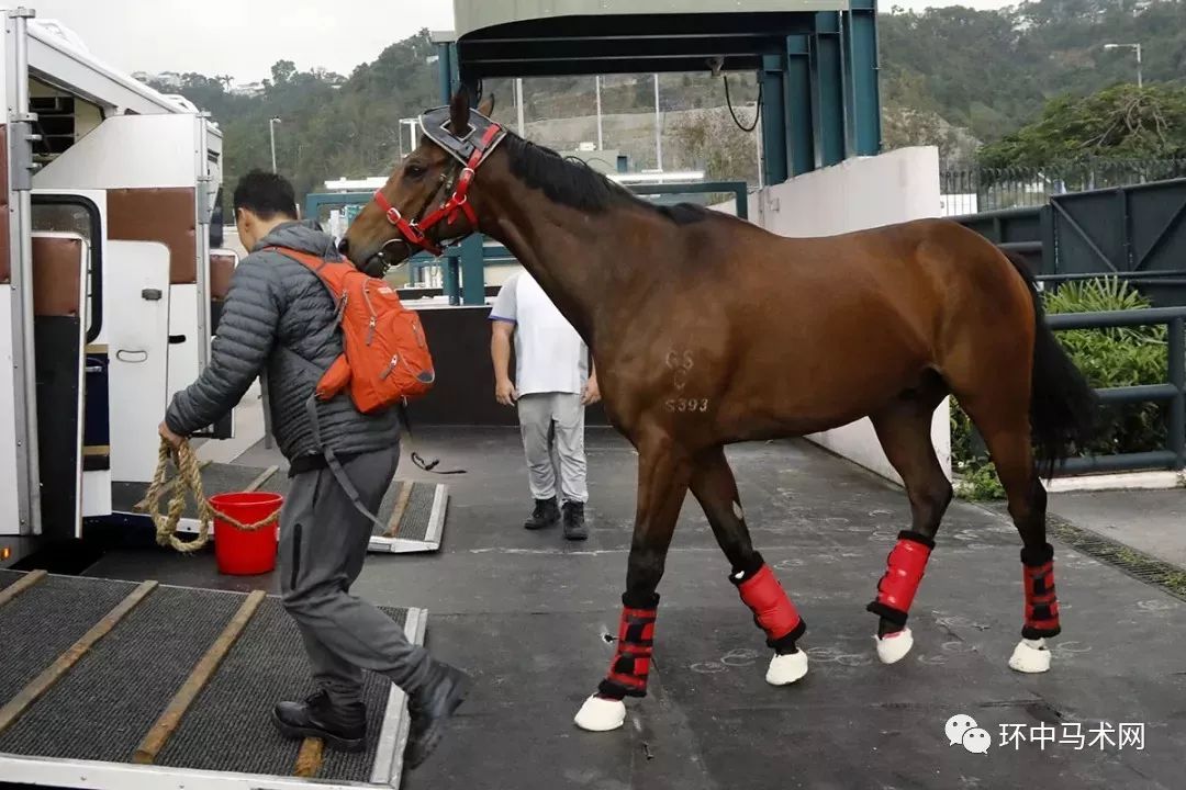 香港马买马网站www,香港马买马网站www——探索赛马产业的领先平台