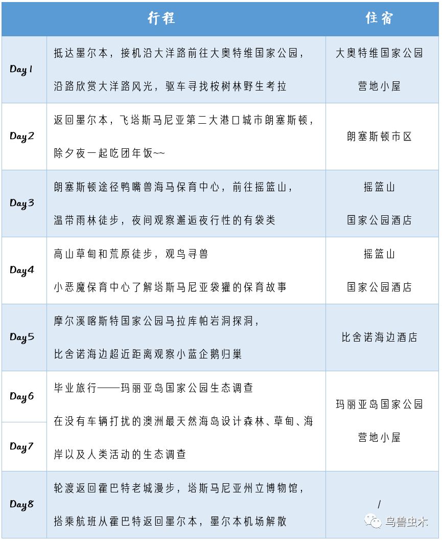 新澳开奖记录今天结果,新澳开奖记录今天结果，探索彩票背后的故事